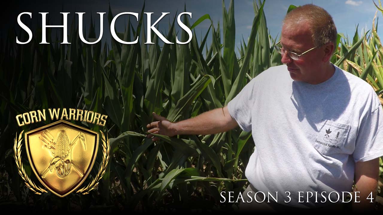 Corn Warriors | 304 | Shucks