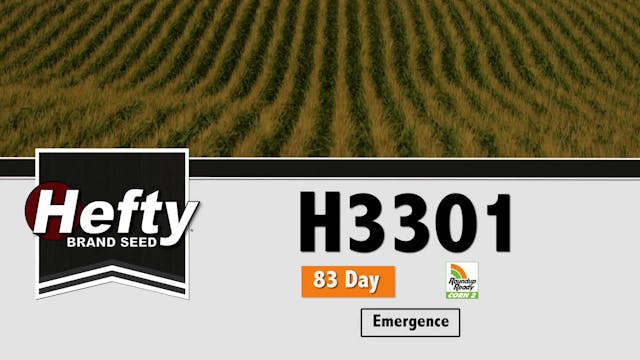 H3301 | 83-Day | RR2