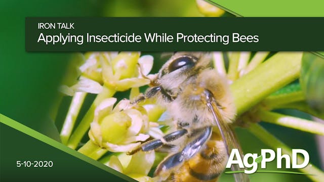 Applying Insecticide While Protecting...