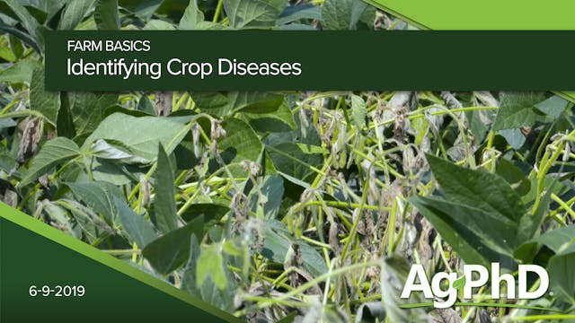 ID Crop Diseases with the Ag PhD Soyb...
