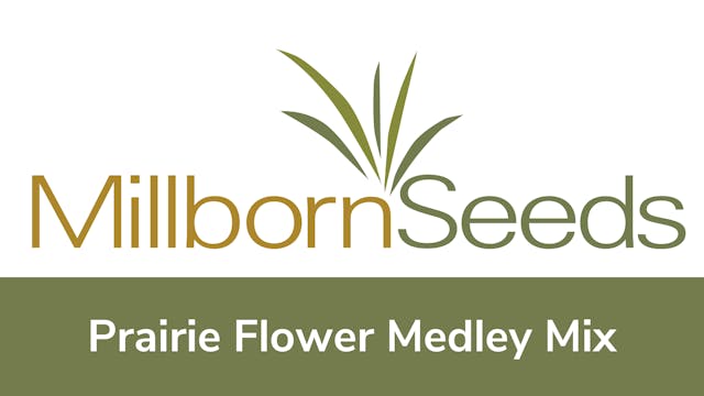 Millborn Seeds - Prairie Flower Medle...