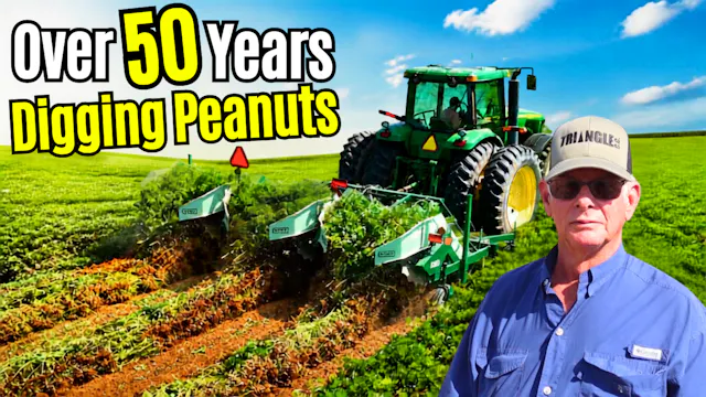 Time To Dig Some Peanuts | Field Rows