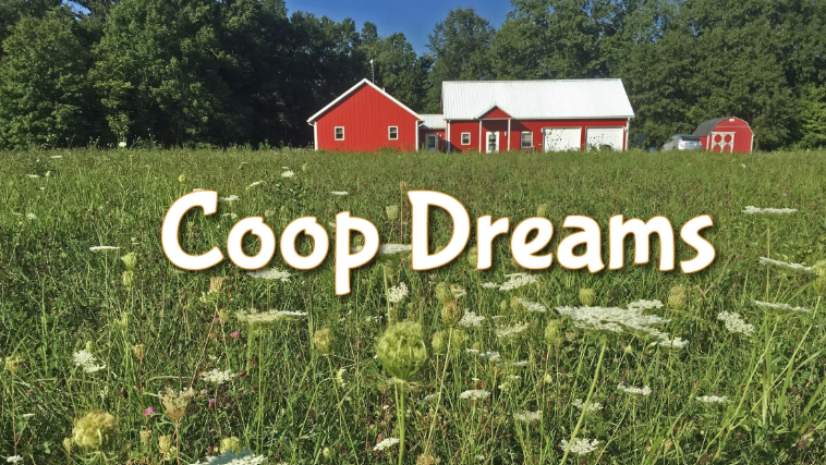 Coop Dreams with Brad Hauter