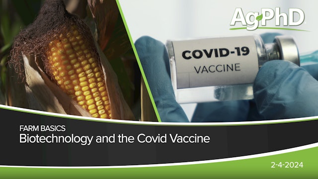 Biotechnology and the Covid Vaccine | Ag PhD