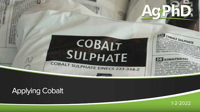 Applying Cobalt | Ag PhD