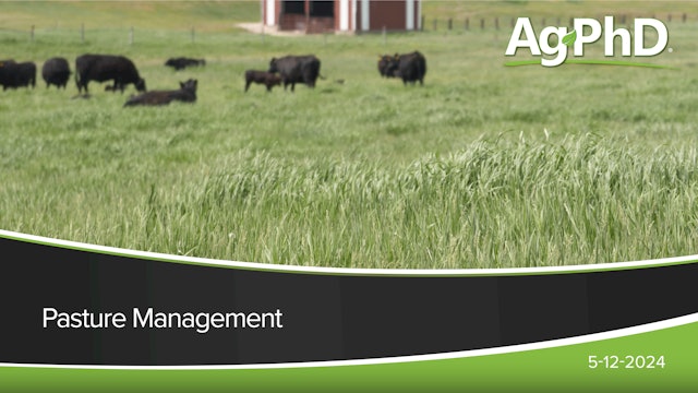Pasture Management | Ag PhD