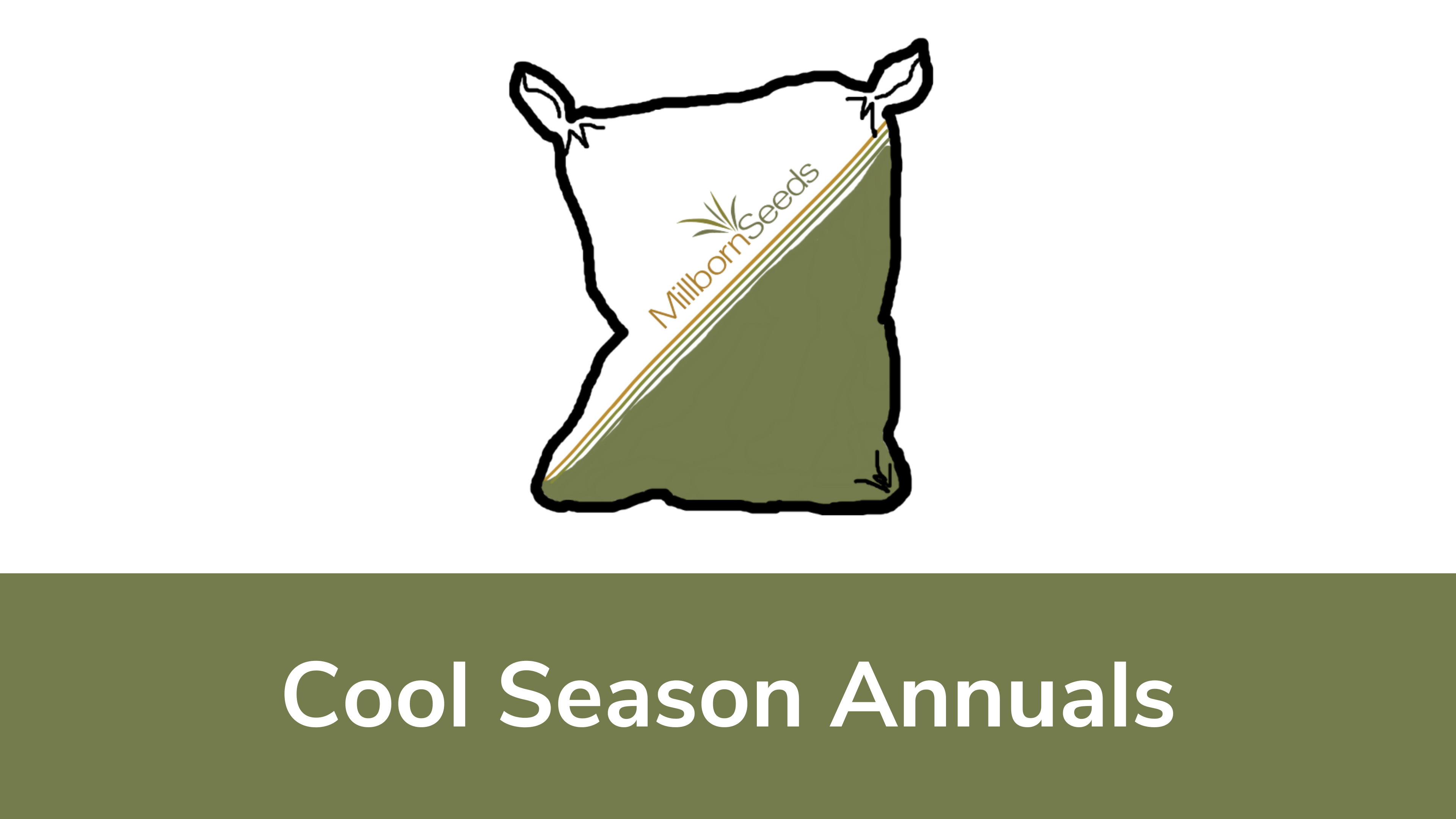 Cool Season Annuals