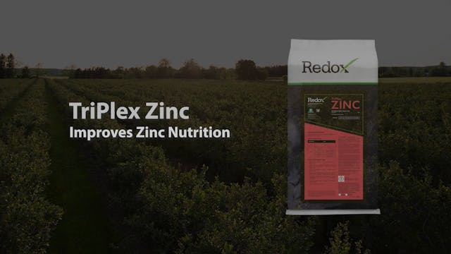 Redox TriPlex™ Zinc