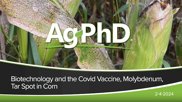 Biotechnology and the Covid Vaccine, Molybdenum, Tar Spot in Corn | Ag PhD