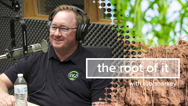 Scott Sinner | The Root of It