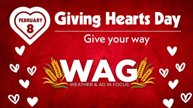 WAG is Live From Giving Hearts Day | ...