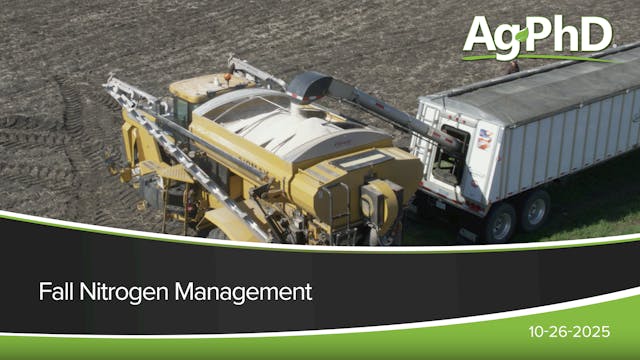 Fall Nitrogen Management | Ag PhD
