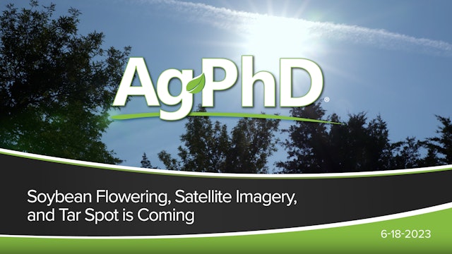 Soybean Flowering, Satellite Imagery, Tar Spot is Coming | Ag PhD