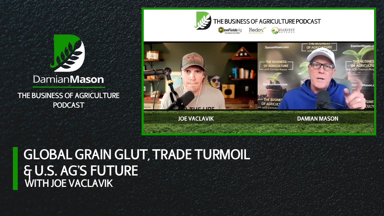 Global Grain Glut, Trade Turmoil & U.S. Ag’s Future | Damian Mason