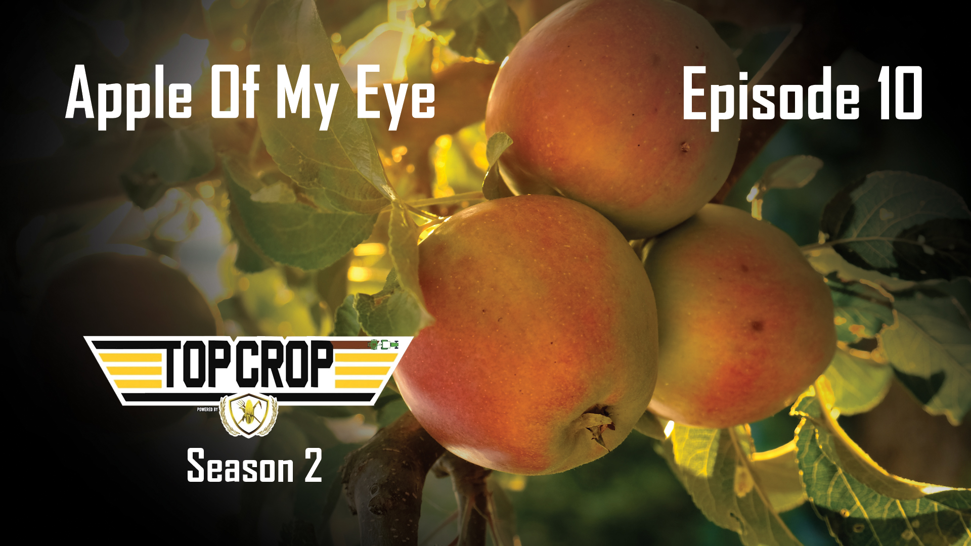 Apple of My Eye | Episode 10 | Top Crop