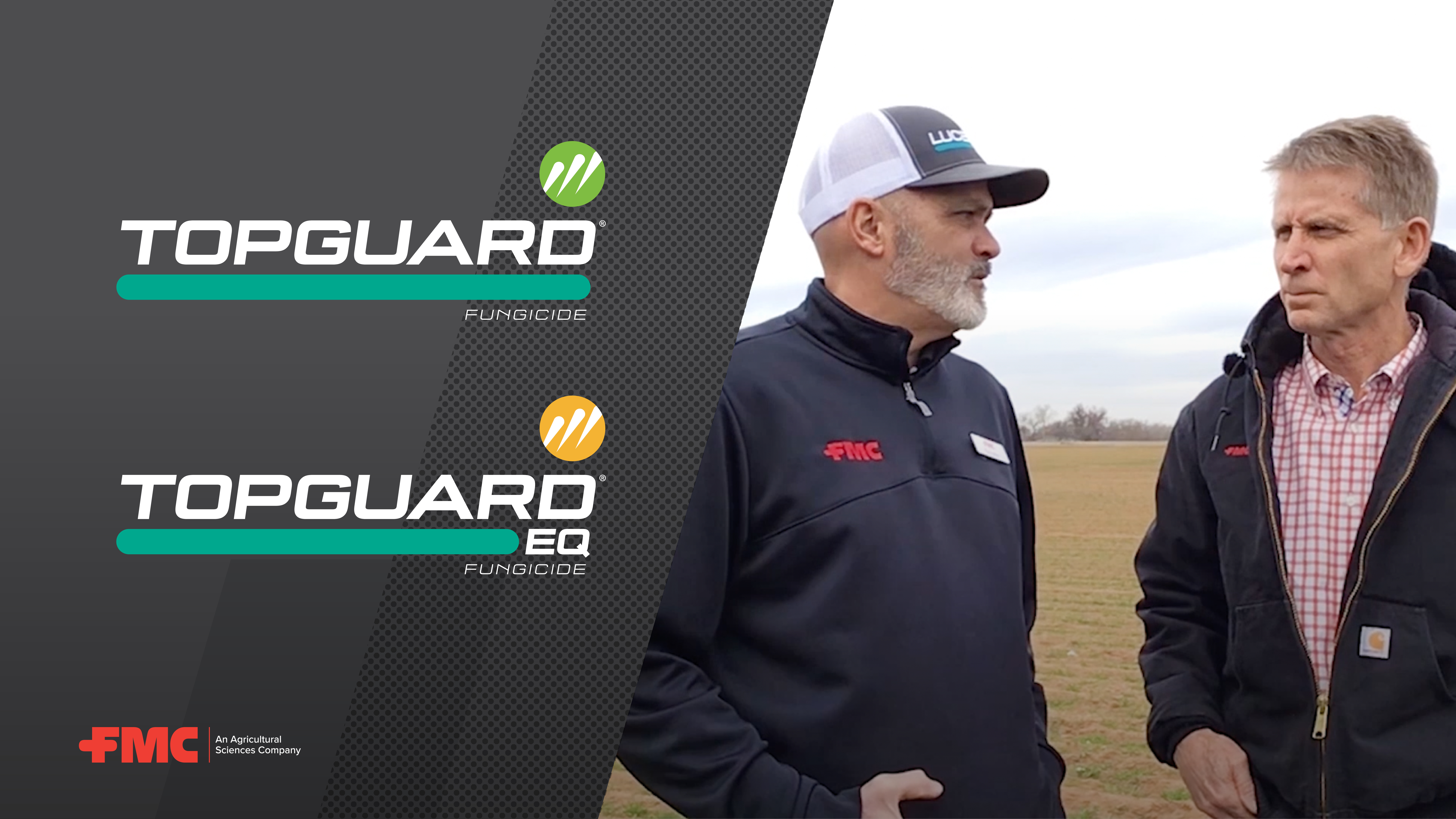 Dive into FMC's Topguard® Fungicide “5 on 5” Program