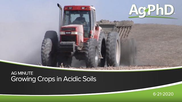 Growing Crops in Acidic Soils