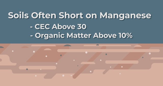 Manganese | AgroLiquid B2B