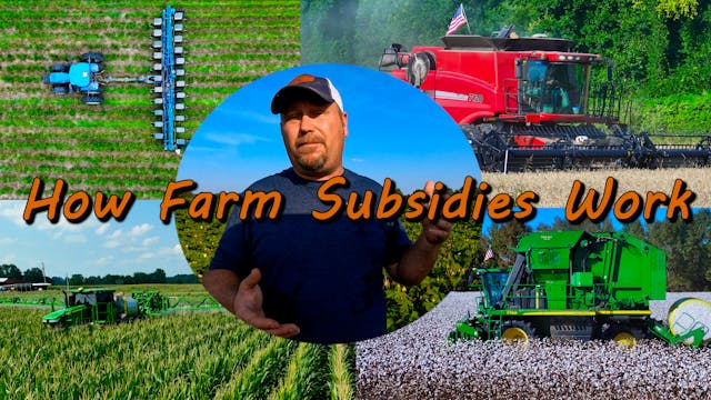 How Farm Subsidies Work | Griggs Farms