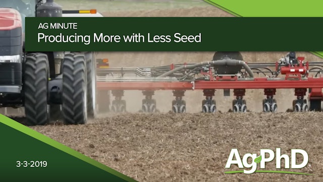 Producing More With Less Seed