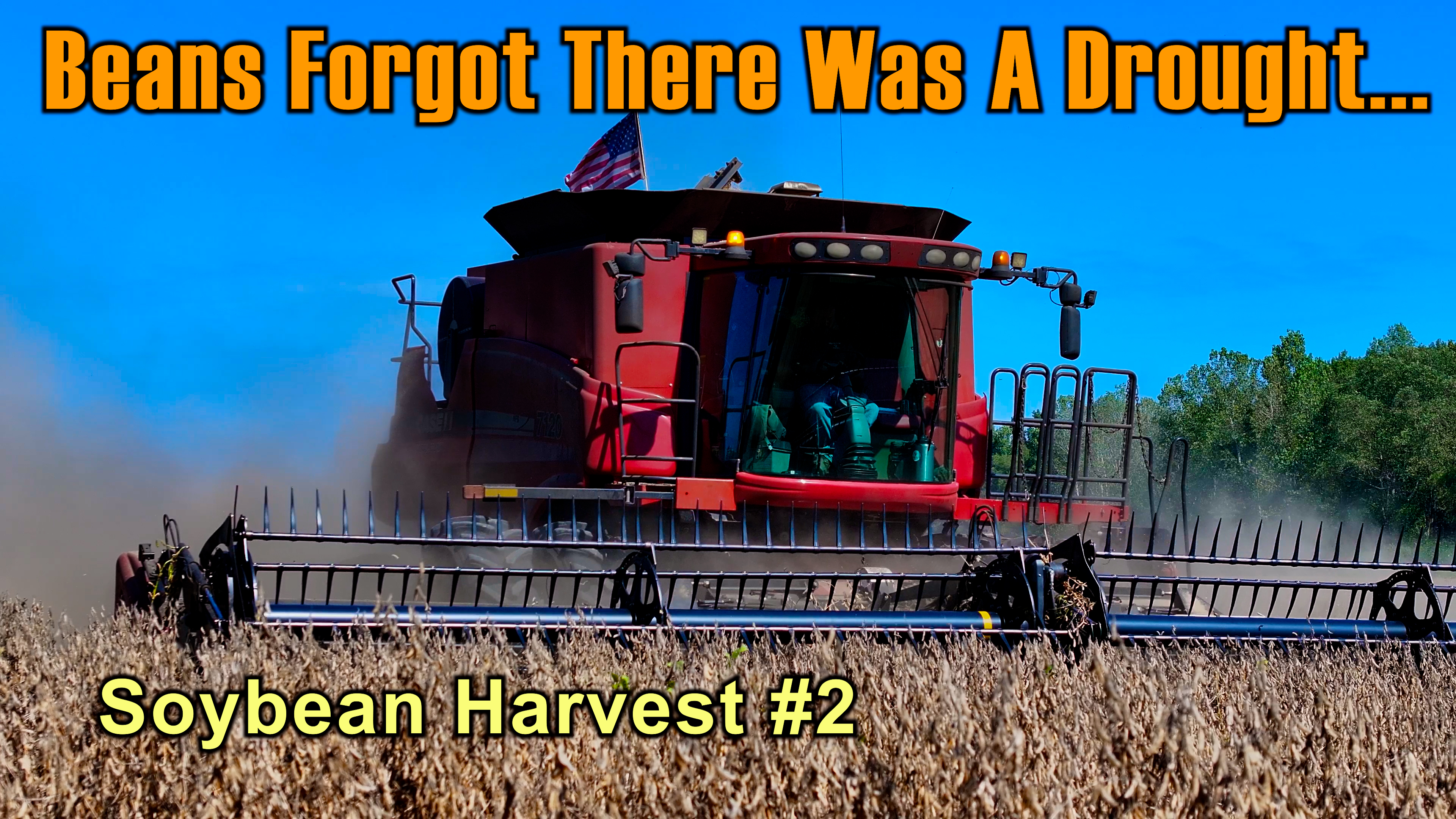 Why CaseIH Combines Are Better Than John Deere... | Griggs Farms