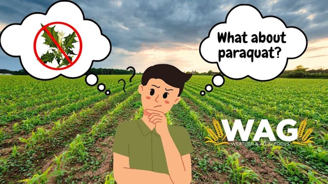 What About Paraquat? | WAG In Focus 9...