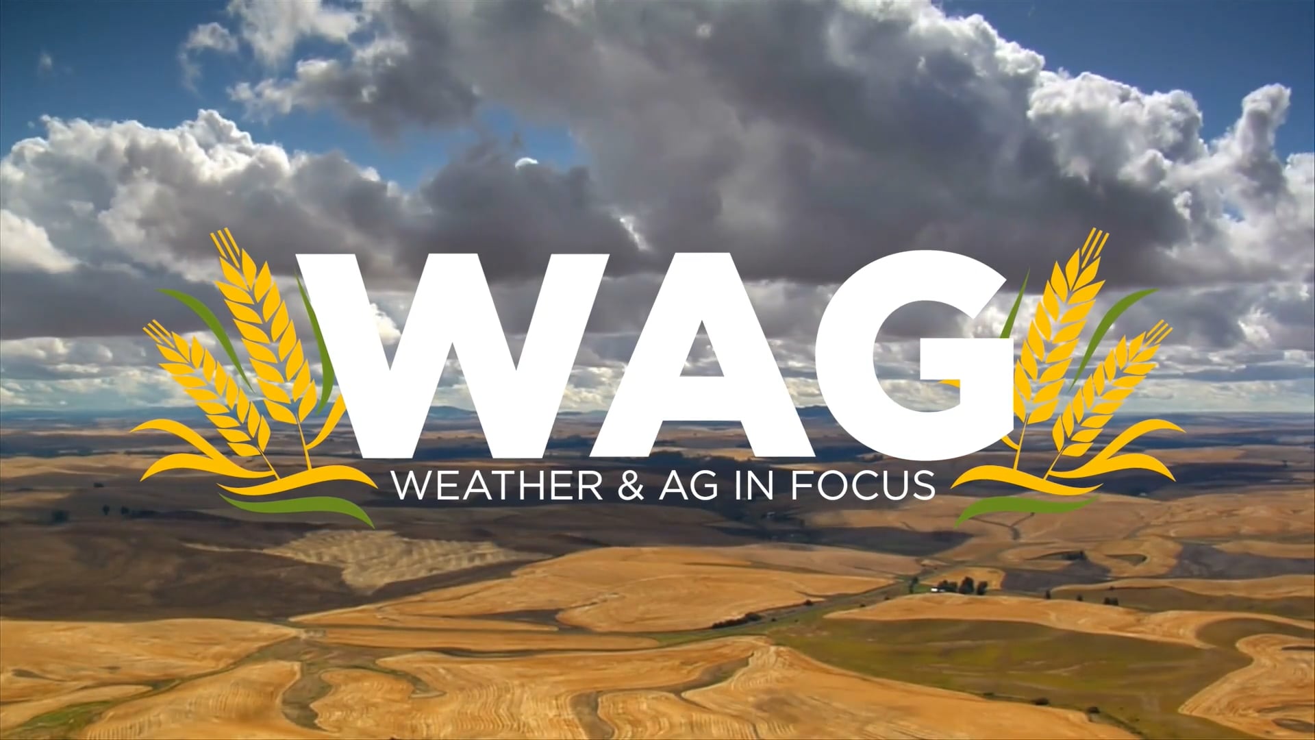 Transitioning Your Farm When You Least Expect It | WAG in Focus 04-09-25