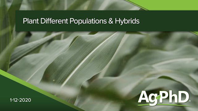 Plant Different Populations & Hybrids...