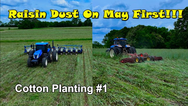 Rasing Dust On May 1st!!!  Cotton Pla...