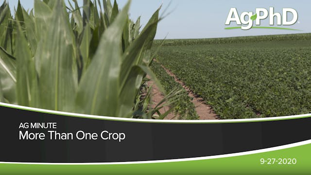 More Than One Crop | Ag PhD