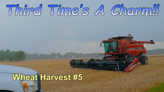 Third Time's A Charm!!  Wheat Harvest...