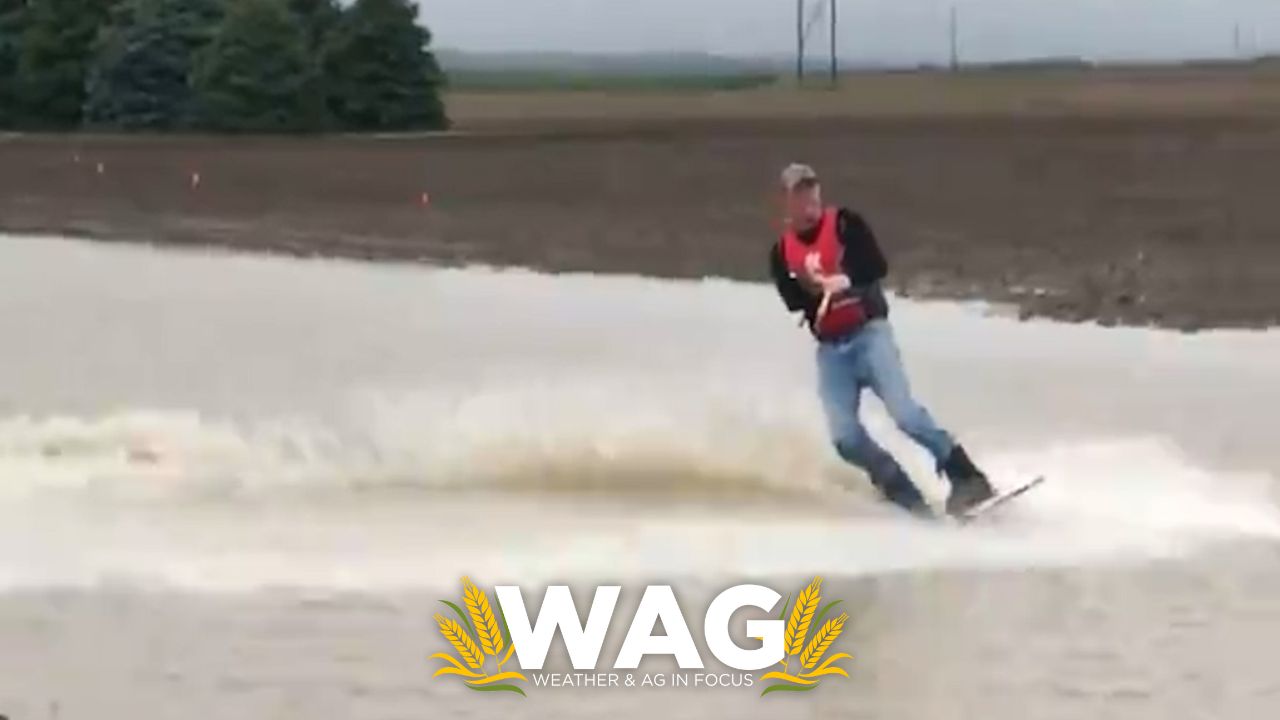 Drainage Ditch Wakeboarding: The Next Big Extreme Sport? WAG In Focus 6-6-23