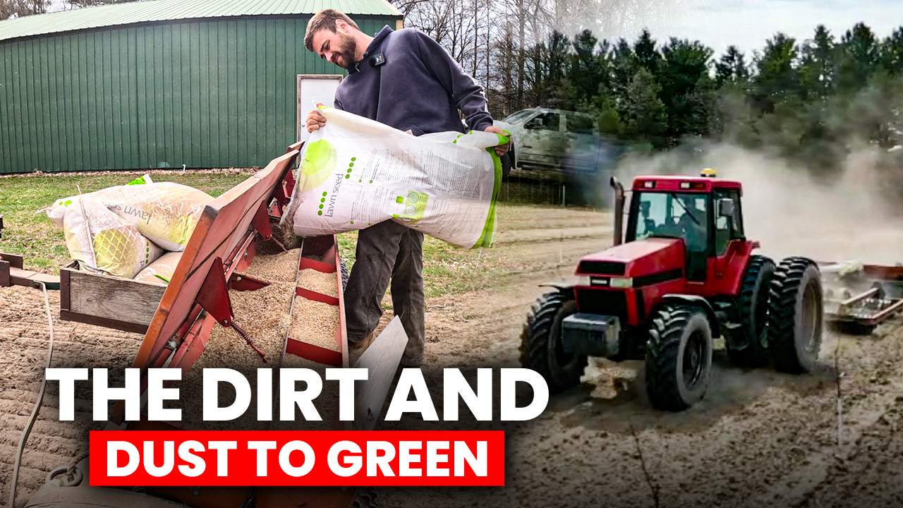 Watch Us Turn Dust into Green!! | Pomes and Stones