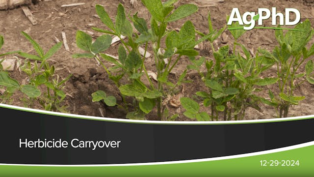 Herbicide Carryover | Ag PhD