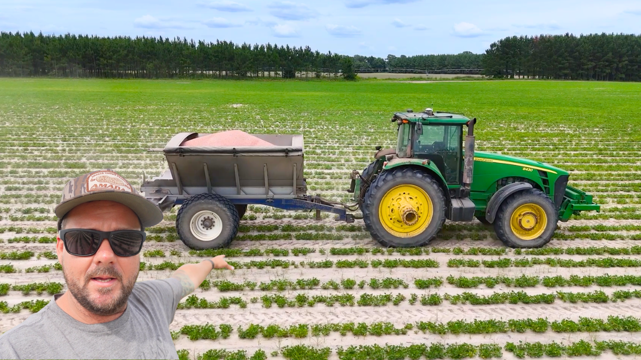Grow Peanuts Grow! (Fertilizer) | Field Rows