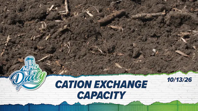 Cation Exchange Capacity | Ag PhD Dai...