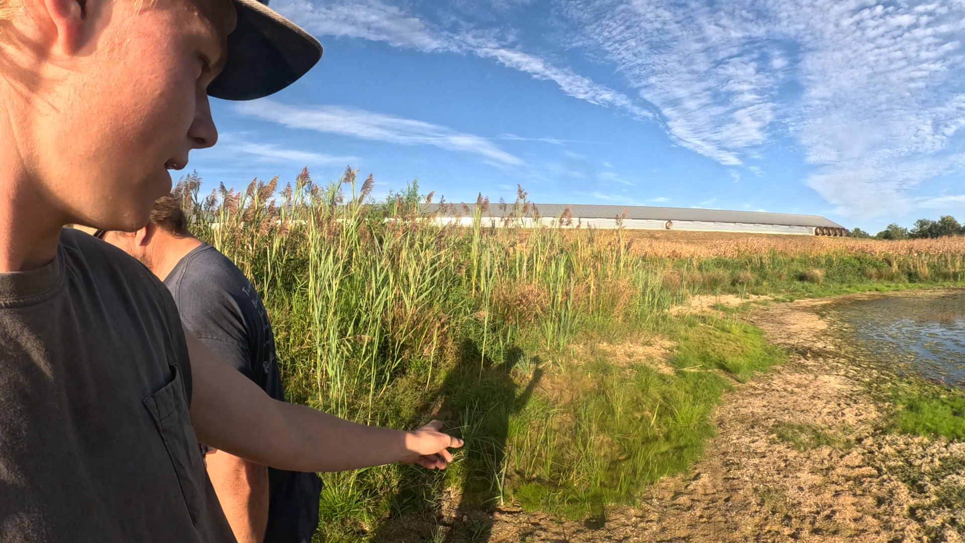 The Drought is Killing our Crops!!! | Farmer King