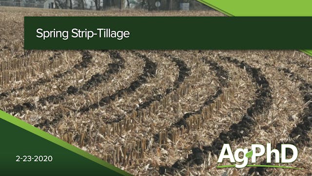 Spring Strip-Tillage | Ag PhD