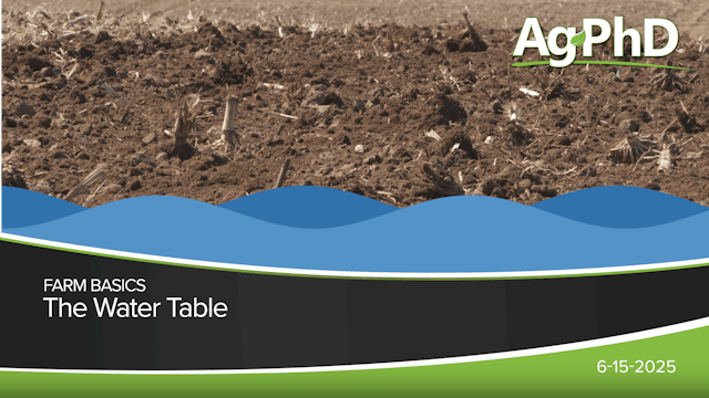 The Water Table | Ag PhD