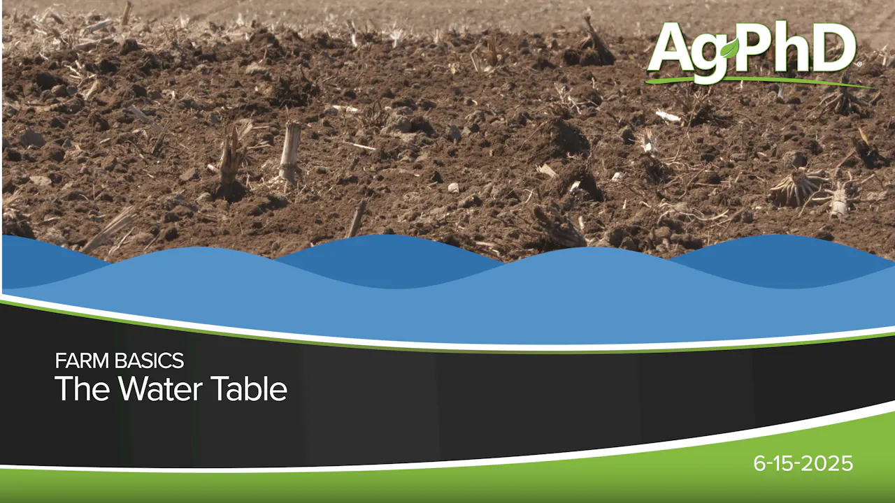 The Water Table | Ag PhD - 2025 - AcresTV