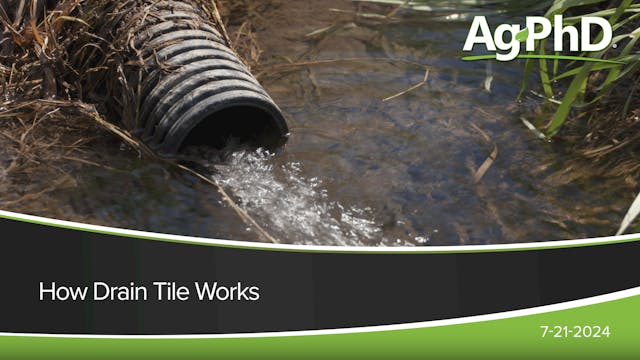 How Drain Tile Works | Ag PhD
