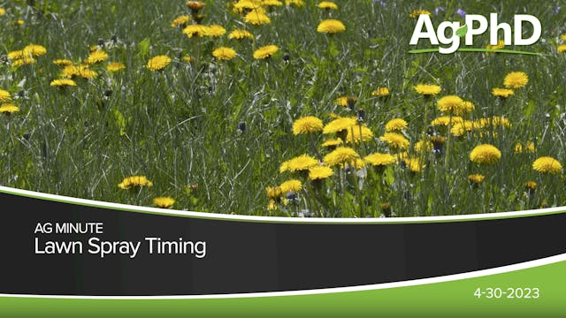  Lawn Spray Timing | Ag PhD