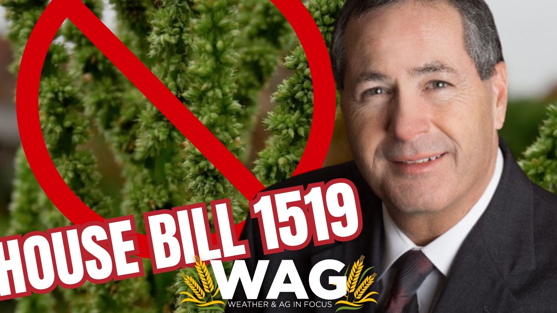 Targeting the fiendish Palmer Amaranth with AUTOMAPPING - WAG In Focus 5-31-23