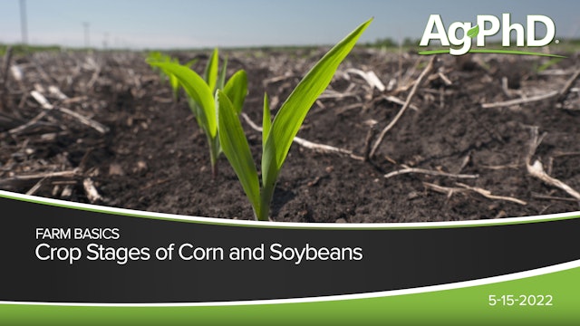 Crop Stages of Corn and Soybeans 