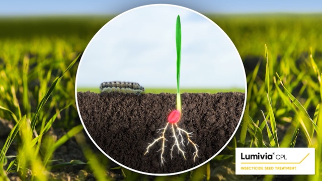 Lumivia CPL - Cereals and Pulse Crop Seed Treatment | Corteva