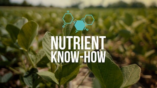 Nutrient Know-How: Building Energy and Roots with Phosphorus | XtremeAg