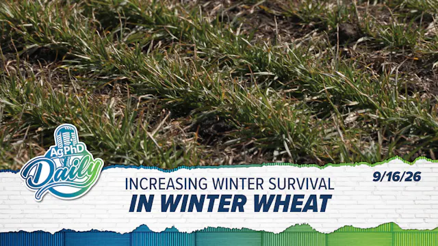 Increasing Winter Survival in Winter ...
