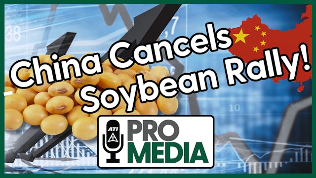 China Cancels Soybean Rally! | ATI Pr...