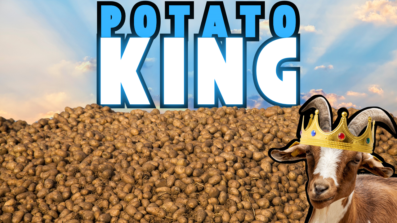 A New Potato Processor in Grand Forks! | WAG in Focus 08-15-25