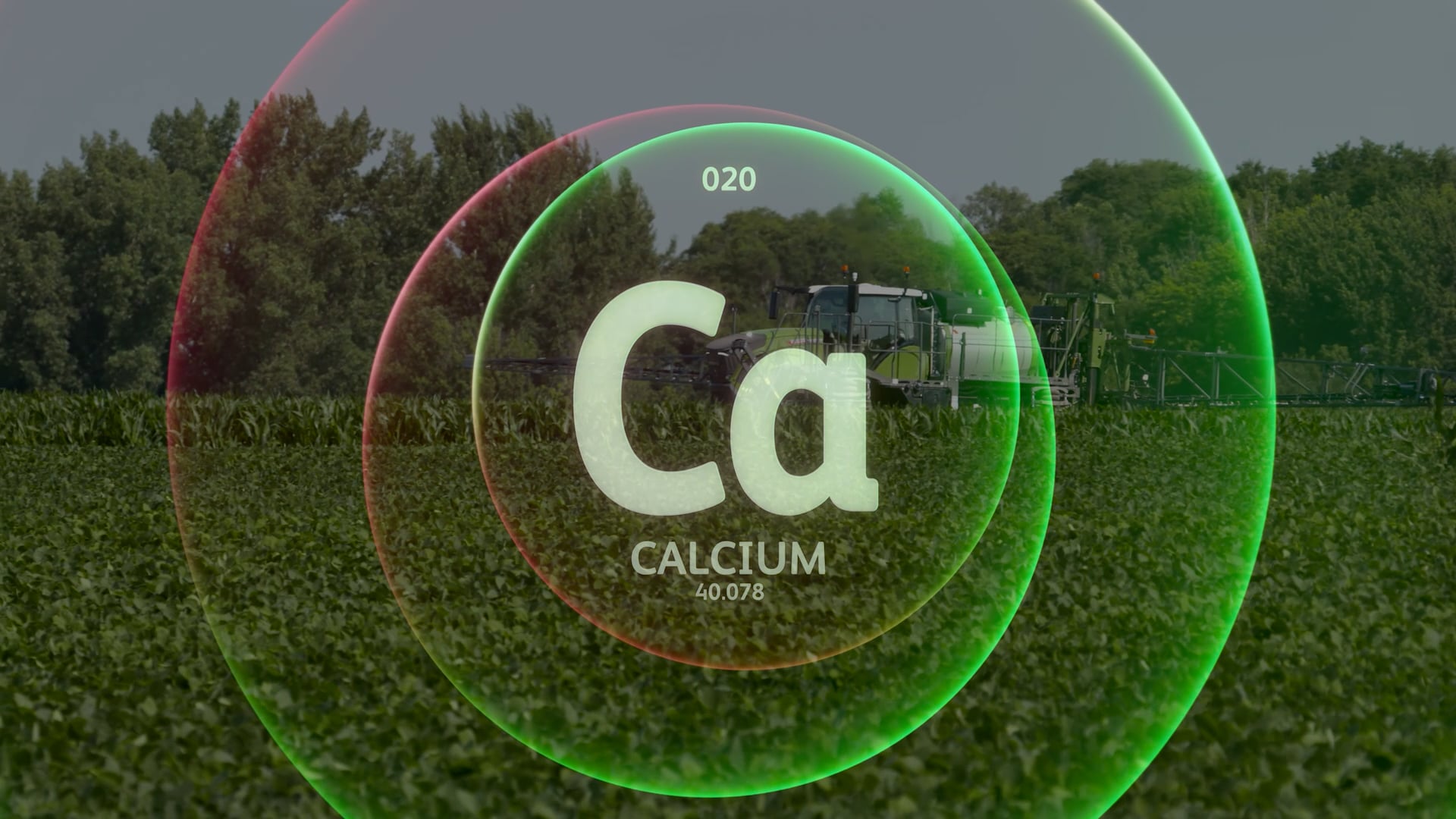 Calcium Deficiency | AgroLiquid NS